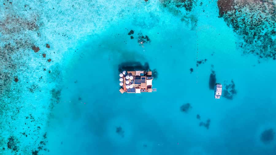 Denarau: Seventh Heaven Floating Bar Day Trip - Key points at a glance