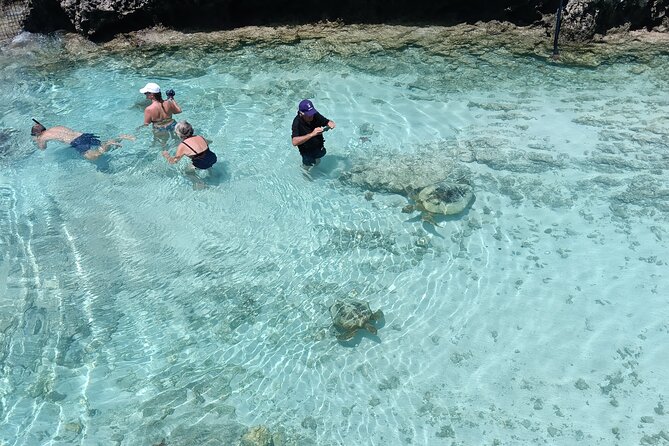 Discover Cascades & Turtle Experience with Yumi Tours - A five-hour sampler of Port Vila’s waters