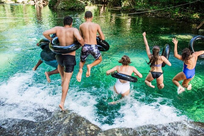Discover Cascades & Turtle Experience with Yumi Tours - Avi Bay and the question of turtle welfare
