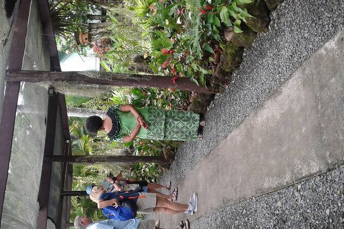 Discover Fiji Best Sights Tour from Lautoka wharf Cruise Ships - Mud pools and hot springs: the messy stop