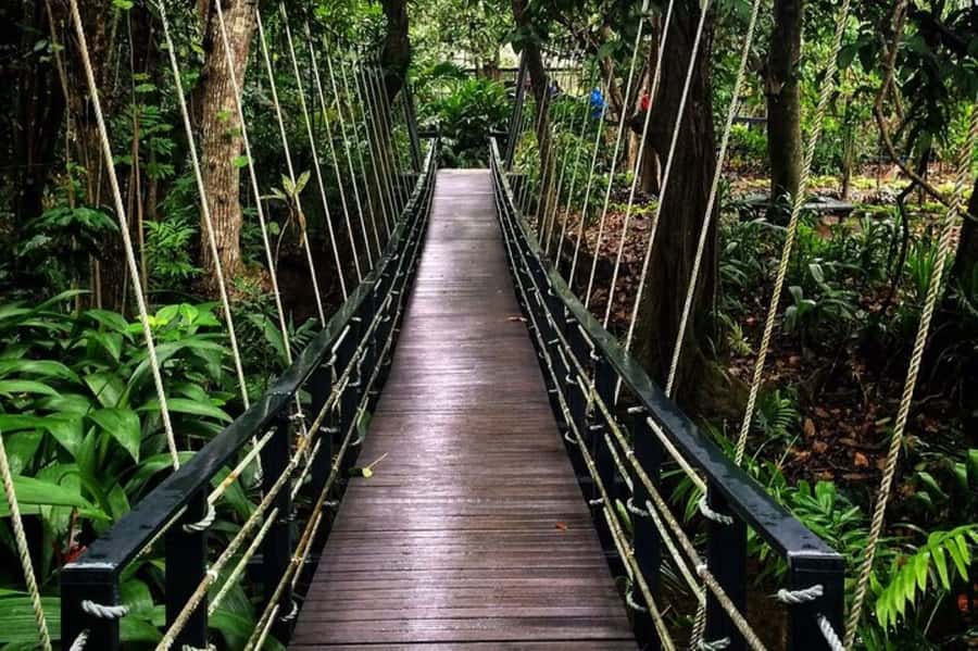 Discover Fijian Culture and Reptiles - Sigatoka Town, markets, and lunch time