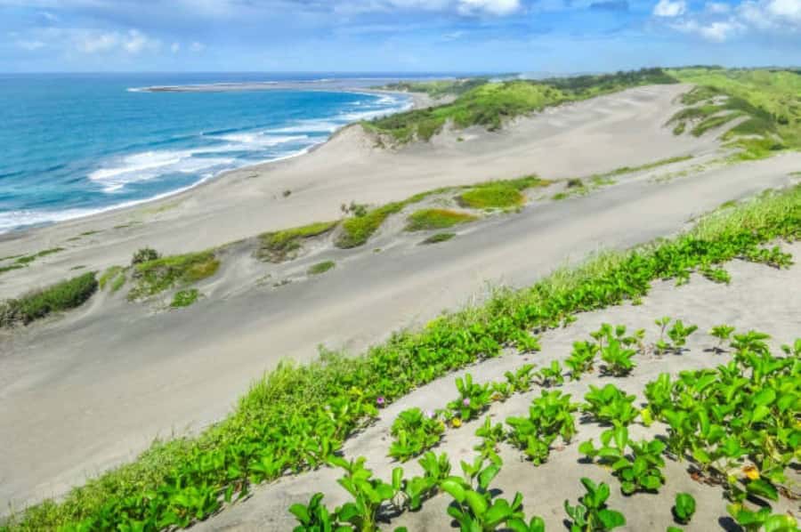 Discover Fijian Culture and Reptiles - What the $117 price really covers