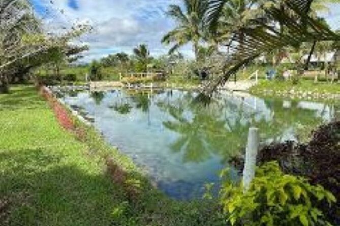 Discover Mud pool/Hot -Spring Nadi - The real value of $46.57