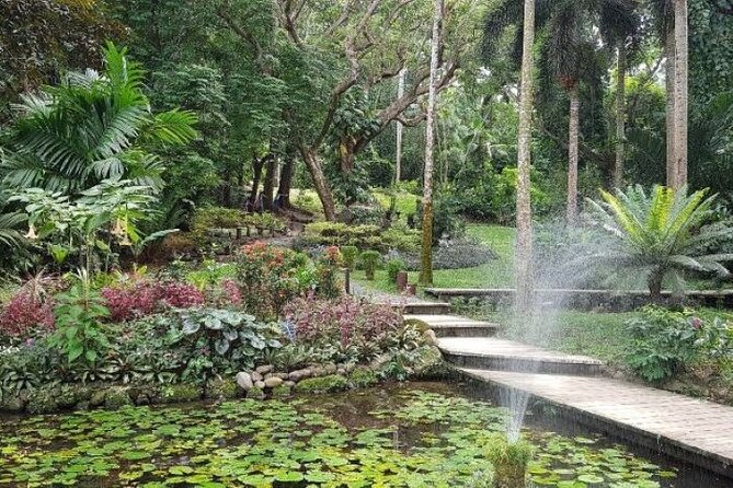 Discover Mud pool/Hot -Spring Nadi - Comfort, clothing, and shower advice