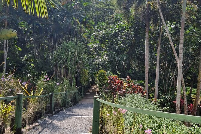 Discover Nadi Fiji Private Tour (All Fees Included) - A useful half-day introduction to Nadi
