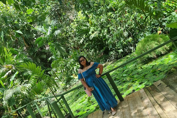 Discover Nadi Fiji Private Tour (All Fees Included) - Garden of the Sleeping Giant: 45 minutes among tropical plants
