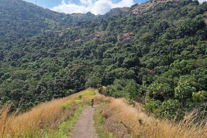 Discover Nadi Fiji Private Tour (All Fees Included) - Sabeto Hot Springs and Mud Pool: the most playful stop
