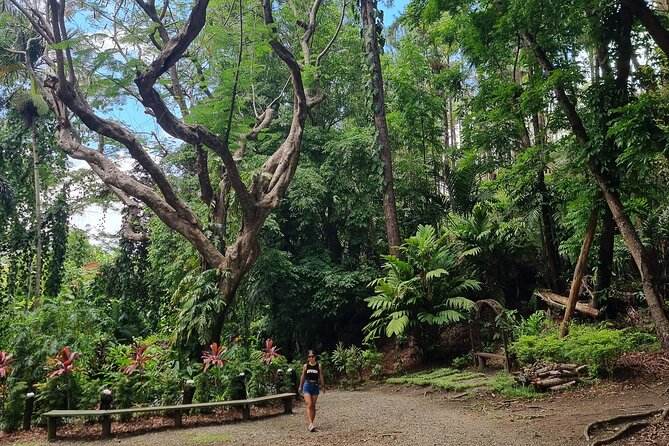 Discover Nadi Fiji Private Tour (All Fees Included) - Vuda Point village and the first look at local life