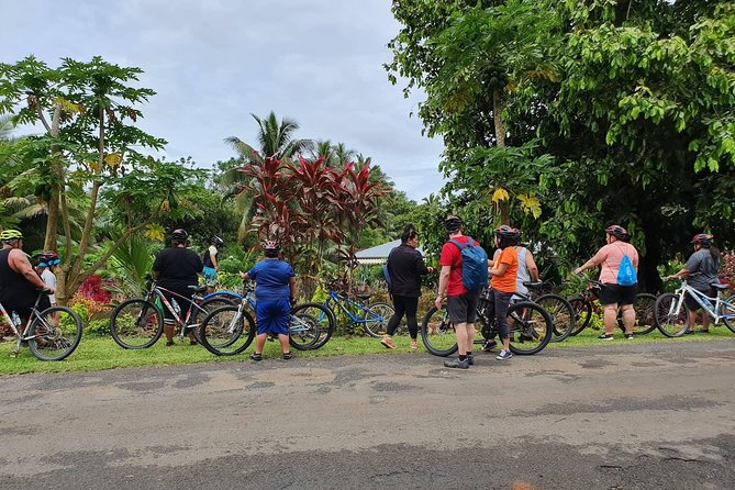 'Discover' Rarotonga Cycling Tour with Lunch - Lunch near the beach, followed by a swim