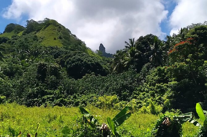 'Discover' Rarotonga Cycling Tour with Lunch - Pickup, timing, and group size