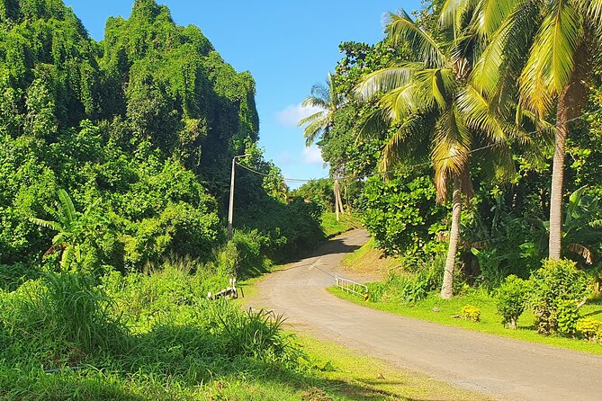 'Discover' Rarotonga Cycling Tour with Lunch - What the price includes at $76.95