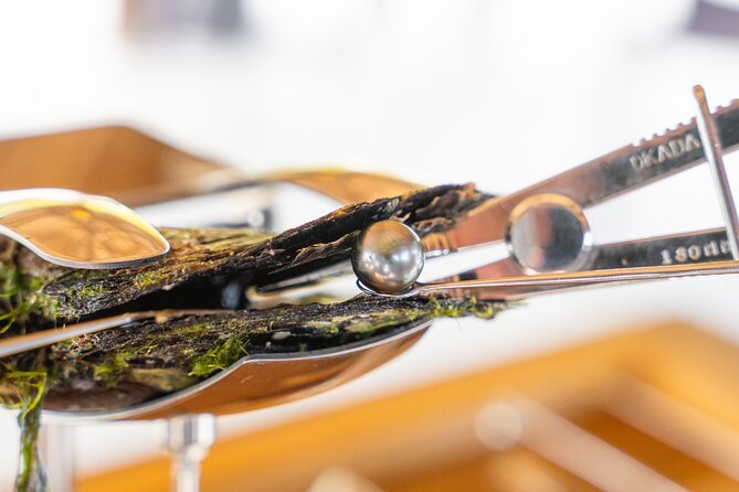 Discover the black pearl in Bora Bora - From motu Taufarii to the oyster lines