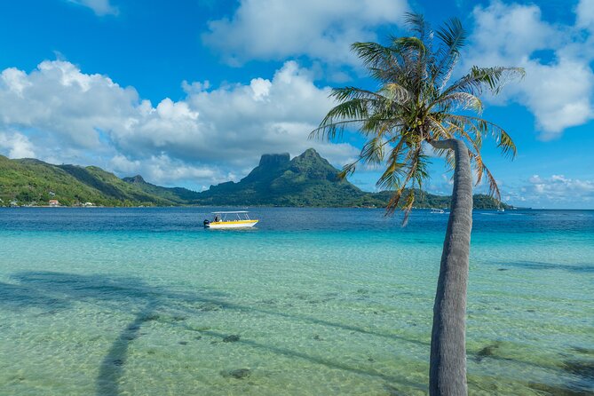 Discover the black pearl in Bora Bora - Who should book this experience?