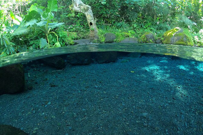 Discovering the emblematic sites of Tahiti - Mara’a Grotto and its cool freshwater pools