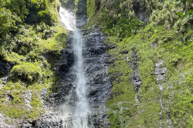 Discovering the emblematic sites of Tahiti - Parc Vaipoopoo and the view toward Moorea