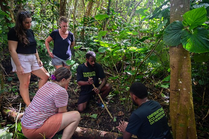 Discovery Bush Walk from Port Vila - How the three-and-a-half-hour outing works
