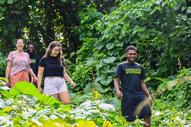 Discovery Bush Walk from Port Vila - Choosing between an easy trail and a harder jungle track