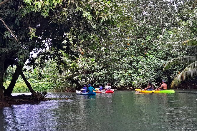 Discovery in Kayaking of the Faaroa River in Raiatea - A gentle outing, with useful comfort features