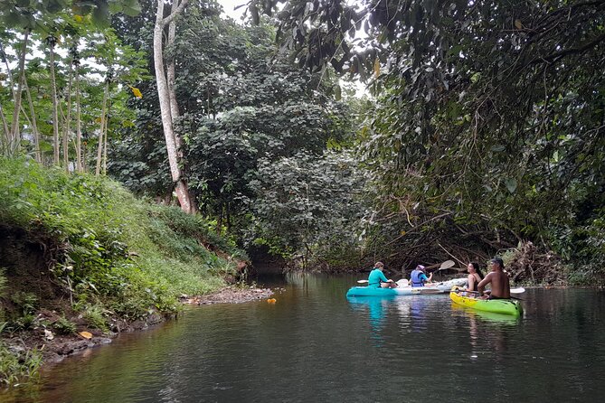 Discovery in Kayaking of the Faaroa River in Raiatea - Is $117.24 a fair price?