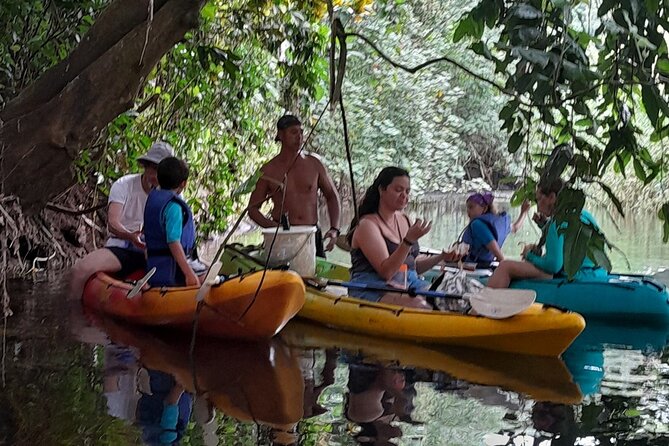 Discovery in Kayaking of the Faaroa River in Raiatea - Pickup, meeting point, and cancellation