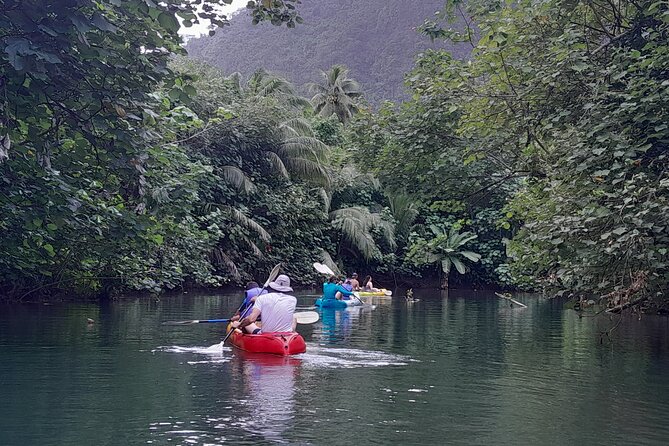 Discovery in Kayaking of the Faaroa River in Raiatea - What the guide adds to the river