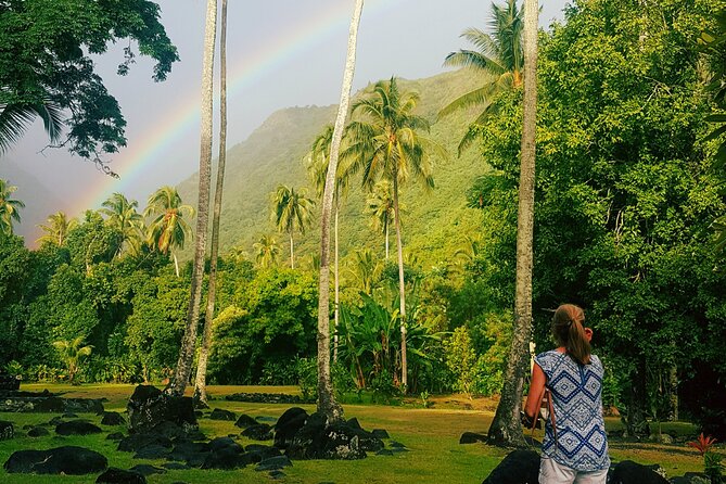 Domestic private transfer, arrival departure, airport hotel cruise rental - Who should book this Papeete transfer?