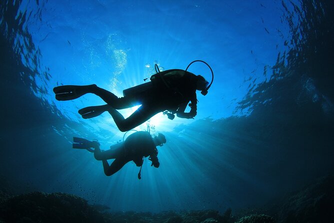 Double Diving Adventure Exploration for Certified Divers - Starting at 8:00 am beside the InterContinental