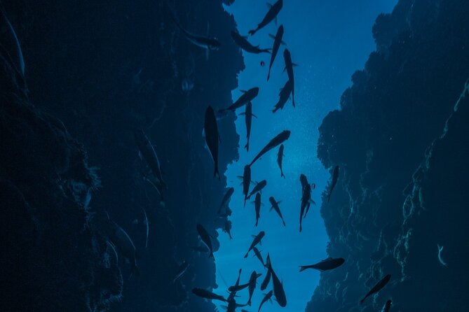 Double Diving Adventure Exploration for Certified Divers - Ocean or lagoon, and why that choice matters