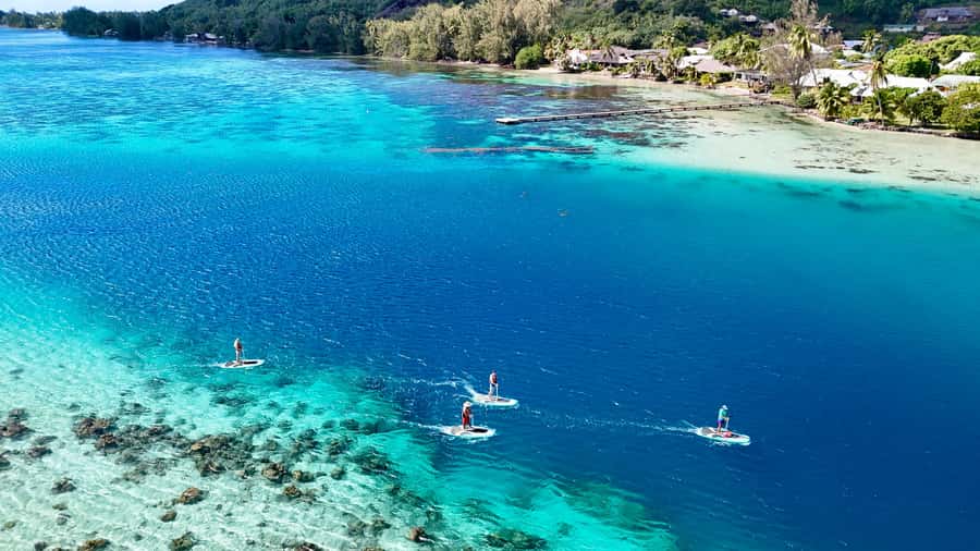 E-Board private tour of Moorea lagoon - Key points at a glance