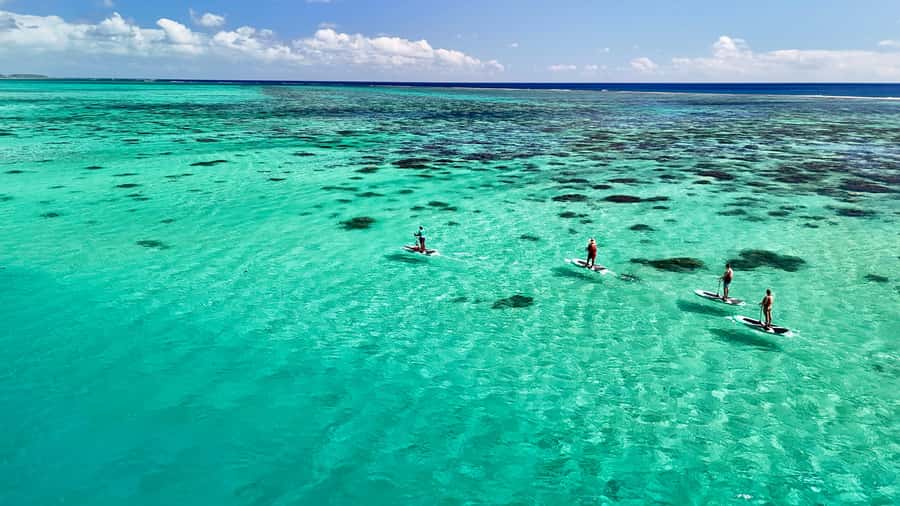 E-Board private tour of Moorea lagoon - A quiet way to see Moorea’s lagoon