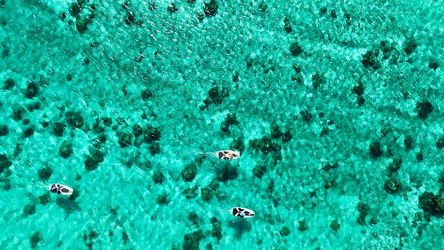 E-Board private tour of Moorea lagoon - Cruising over the lagoon