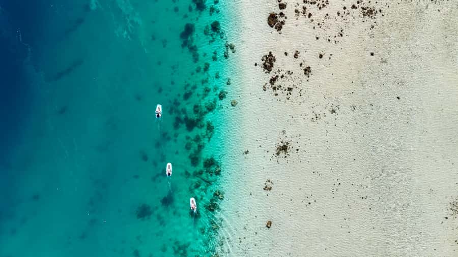 E-Board private tour of Moorea lagoon - Snorkeling at the coral garden