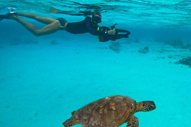 Eco Friendly Sea Scooter Turtle Tour in Rarotonga - Why the sea scooter changes the turtle encounter