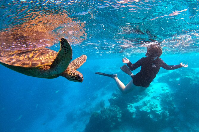 Eco Friendly Sea Scooter Turtle Tour in Rarotonga - Through the Avaavaroa passage