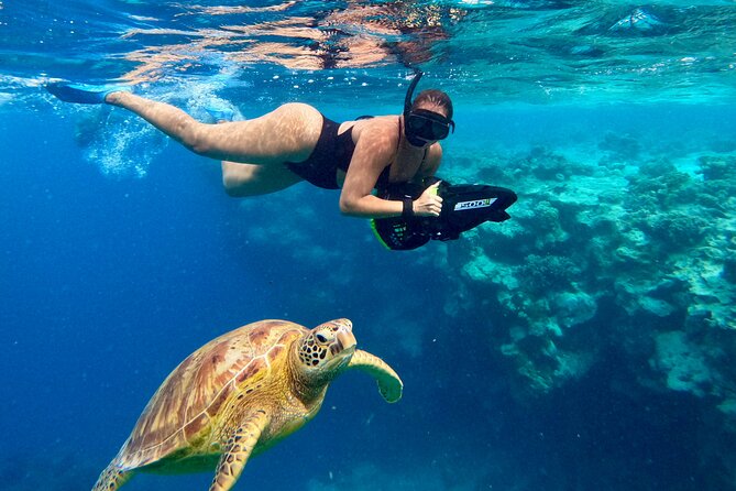 Eco Friendly Sea Scooter Turtle Tour in Rarotonga - Meeting the guides at YWAM Cook Islands