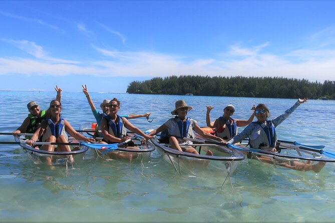 Eco guided excursion to the lagoon of Moorea in transparent kayak 1/2 day morning - The snorkeling stop and sandbank pause