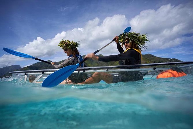 Eco guided excursion to the lagoon of Moorea in transparent kayak 1/2 day morning - Should you book the Moorea clear kayak tour?