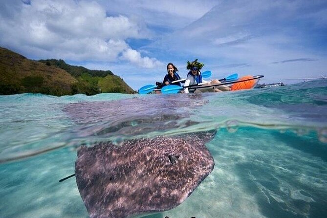 Eco guided excursion to the lagoon of Moorea in transparent kayak 1/2 day morning - Paddling between the two motus