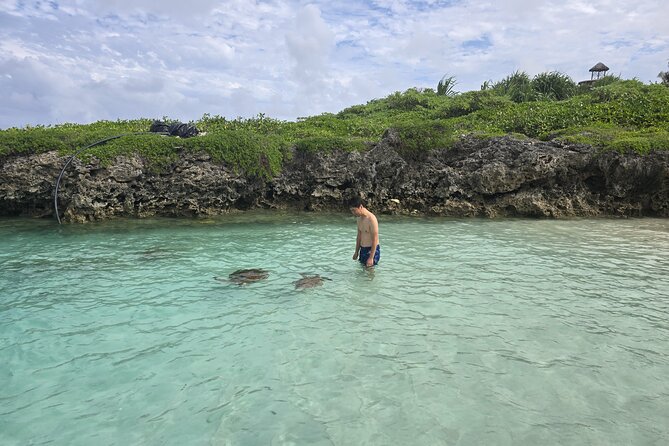 Efate Half Day Trip, Eton Beach, Blue Lagoon and Lunch at Turtle - Lunch and the Turtle Sanctuary