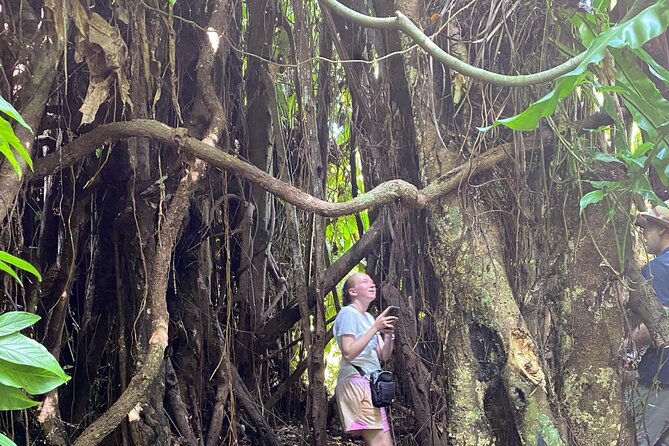 Efate Highlights: LocalVillage Walk, Coffee Tasting & Beach Chill - Tanna Coffee Factory: a taste of Vanuatu to take home