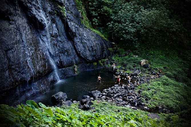 Enjoy Moorea Day Tour - Afareaitu Waterfalls is short on paper, harder in practice