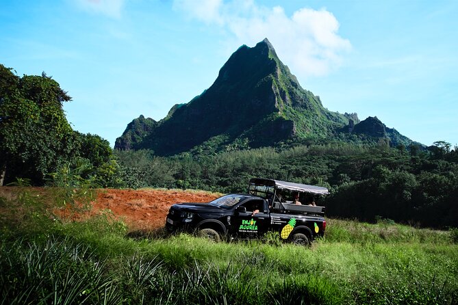 Enjoy Moorea Day Tour - The tropical garden offers plants, not a polished attraction