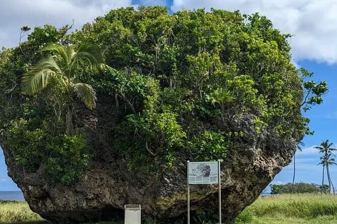 Exclusive Tour of Tongatapu - Anahulu Cave and its freshwater pool