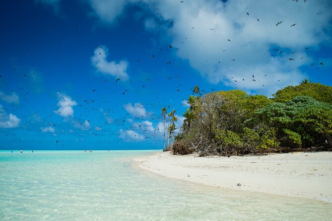 Excursion to Tetiaroa by Catamaran Visit Lunch Snorkeling - Snorkeling around the boat and reef