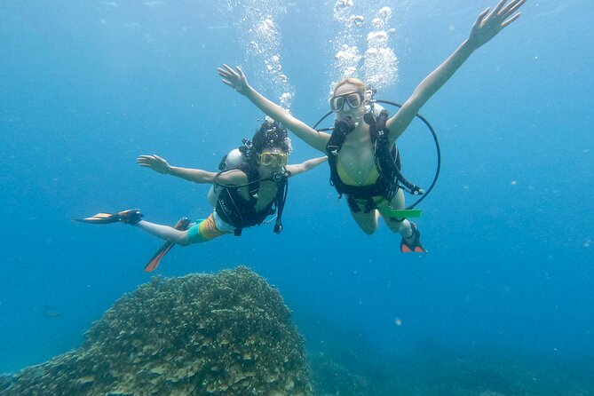 Experience Scuba Diving - No Certification Needed! - Key points at a glance
