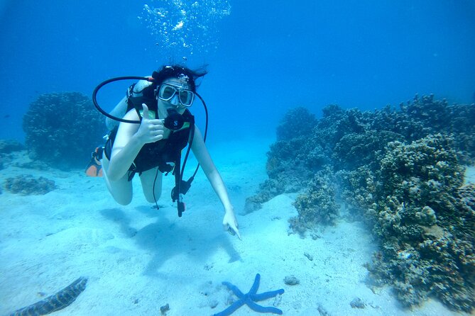 Experience Scuba Diving - No Certification Needed! - What happens during the 2.5-hour visit