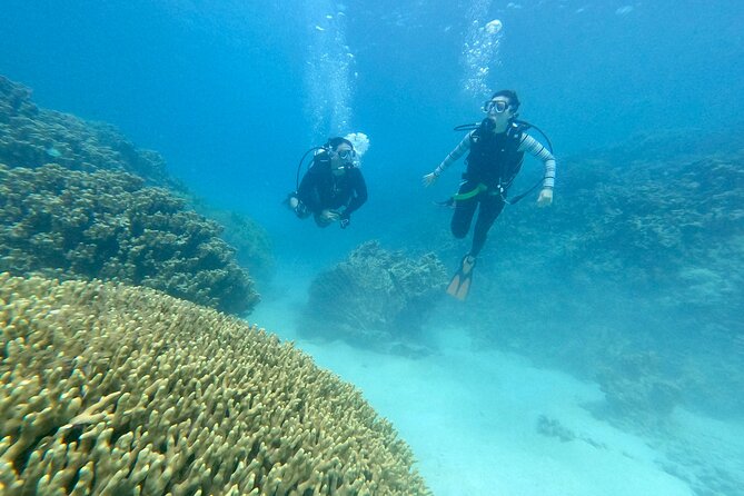 Experience Scuba Diving - No Certification Needed! - The reef, fish, and chance of turtles