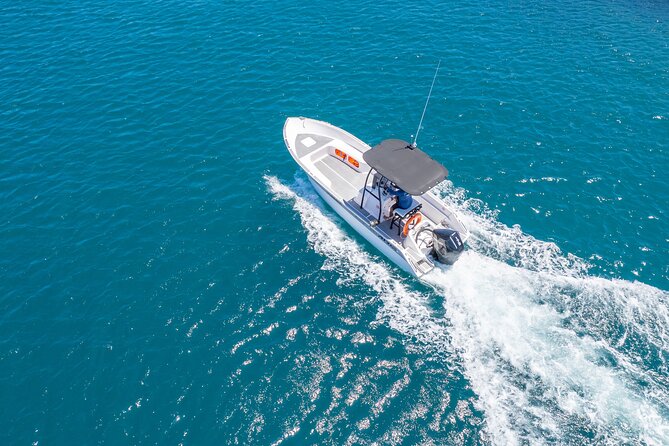 Exploration, Taha'a Lagoon Tour by Private Boat - Fruit and reef fish at Jardin de Corail