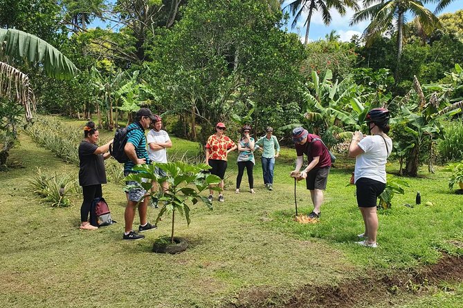 'Explore' Rarotonga Guided Bike Tour with Lunch and Swim - Riding the Ancient Coral Road and village lanes
