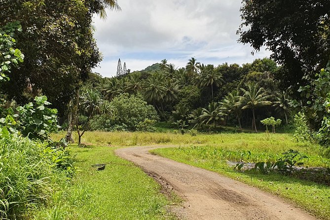 'Explore' Rarotonga Guided Bike Tour with Lunch and Swim - What to bring for a comfortable morning